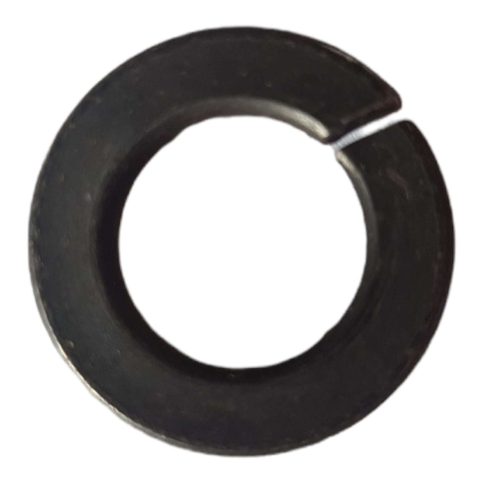 Z91140004 TEMATERRA RONDANA 