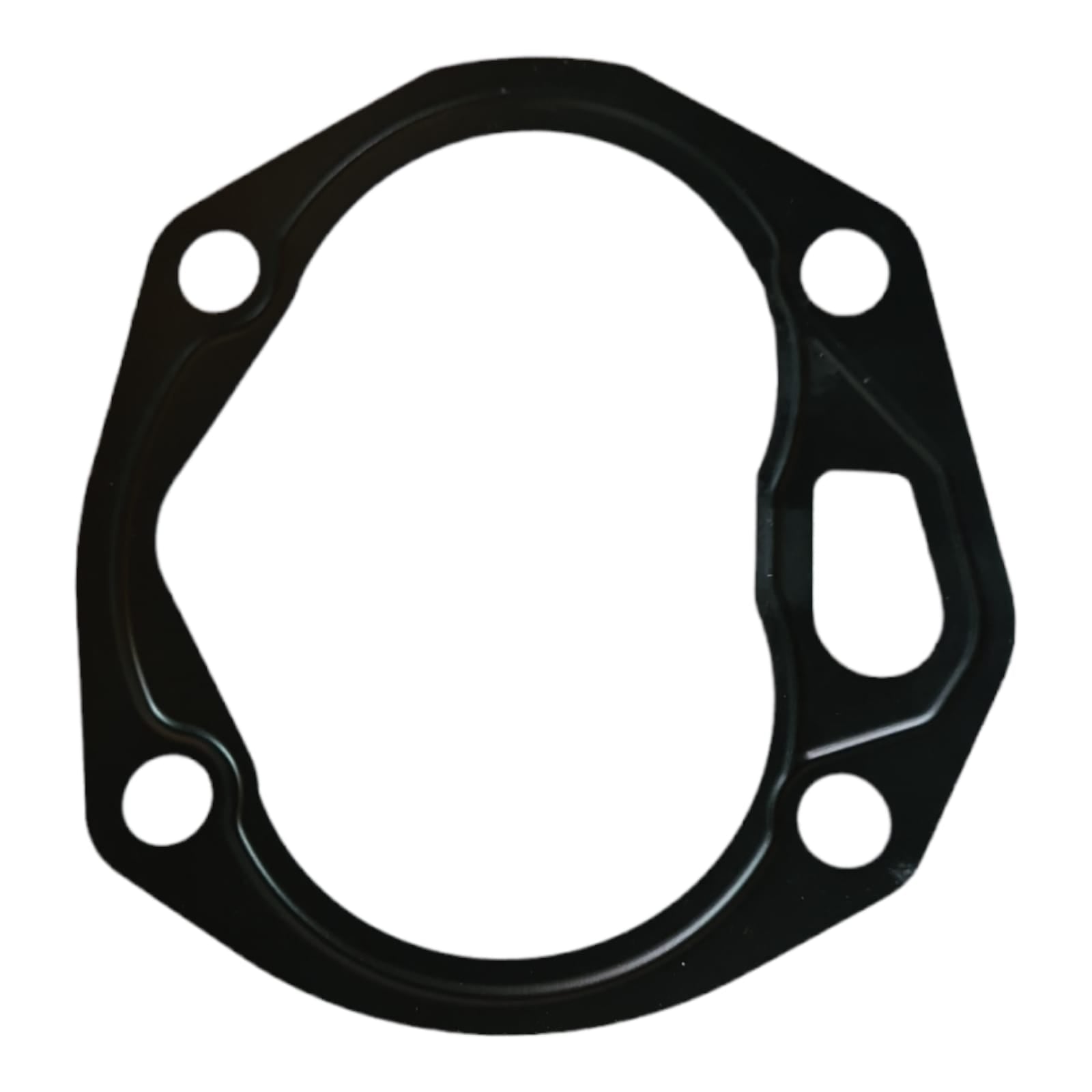 244080 - GETMAN - JUNTA 