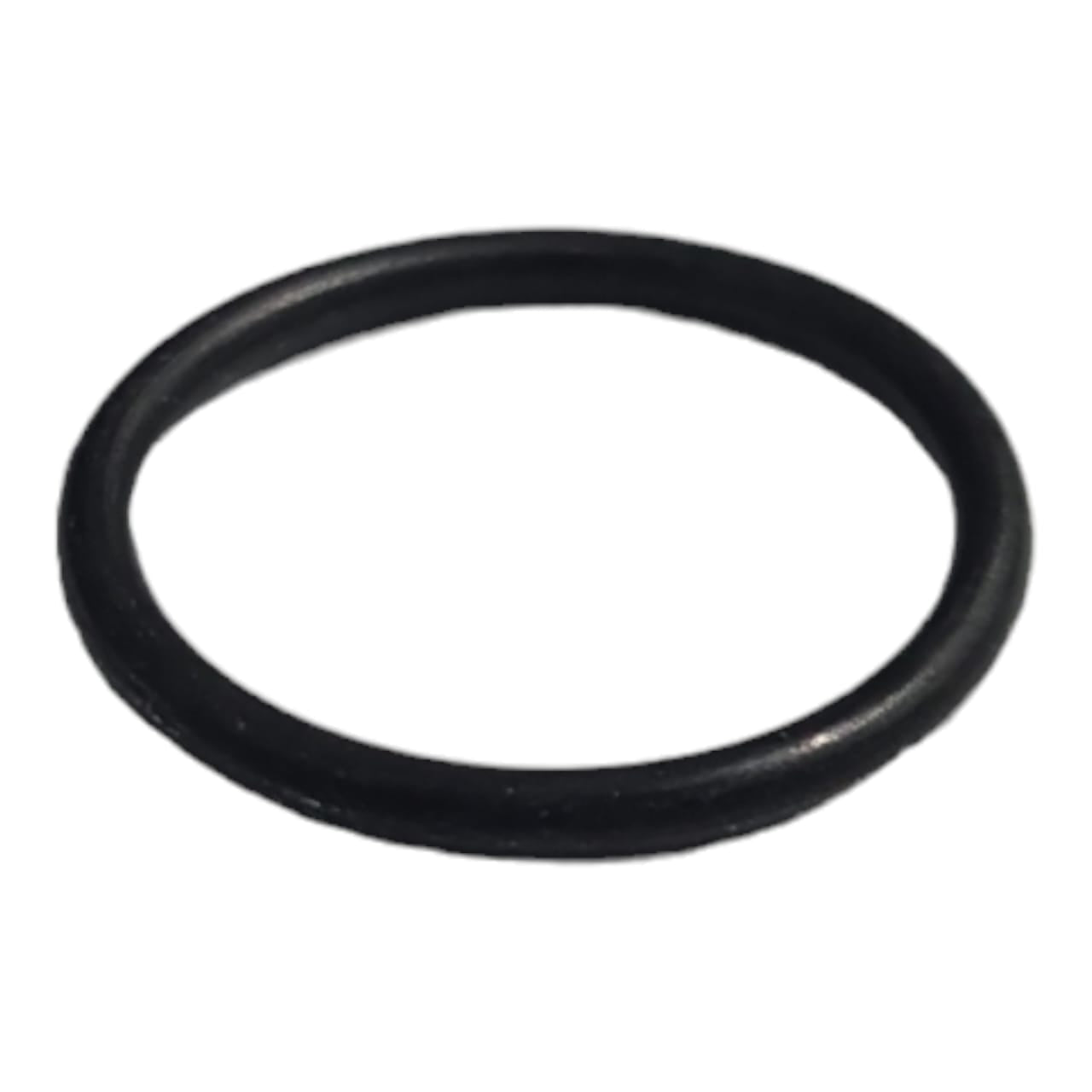 Z3282168  CASE  ORING 