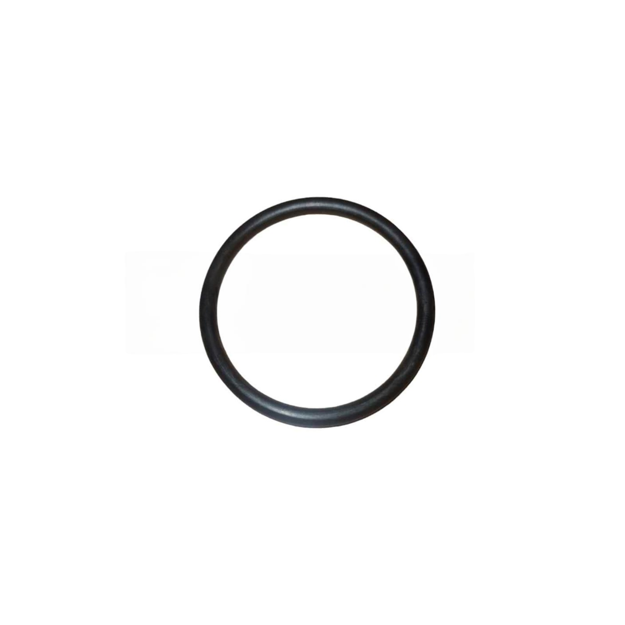 L500841 - GEHL - ORING 