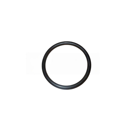 L500841 - GEHL - ORING 