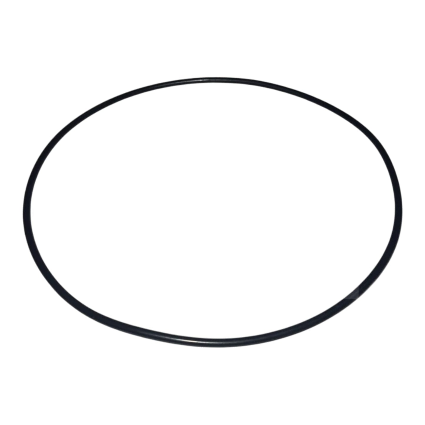 X549.007.700.000 - AGCO - ORING 